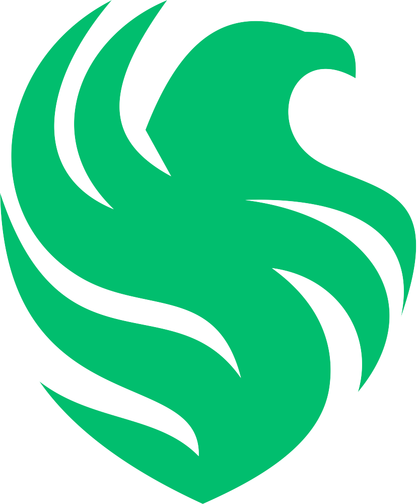 Falcons team logo