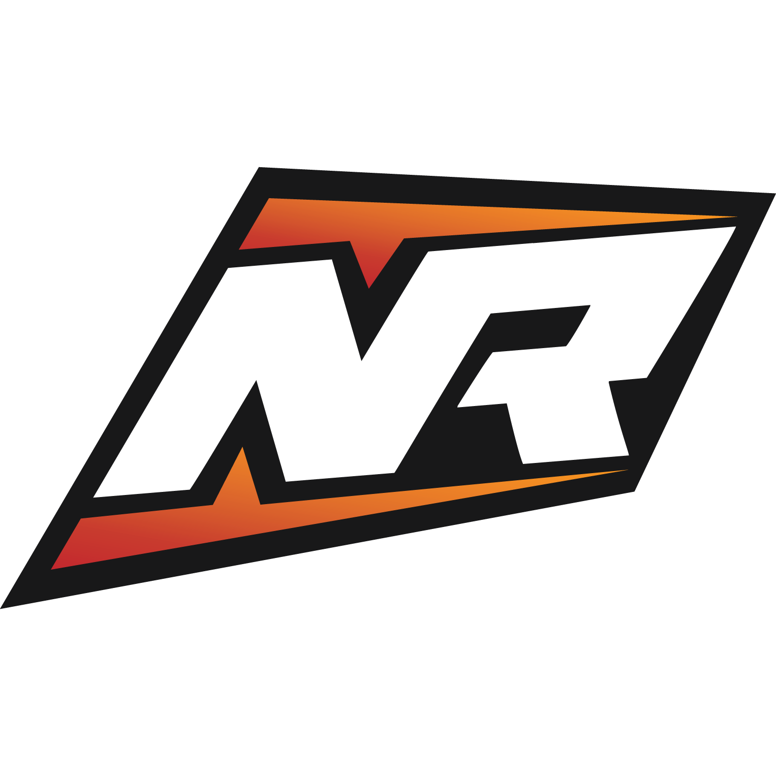 nerdRage.pro team logo