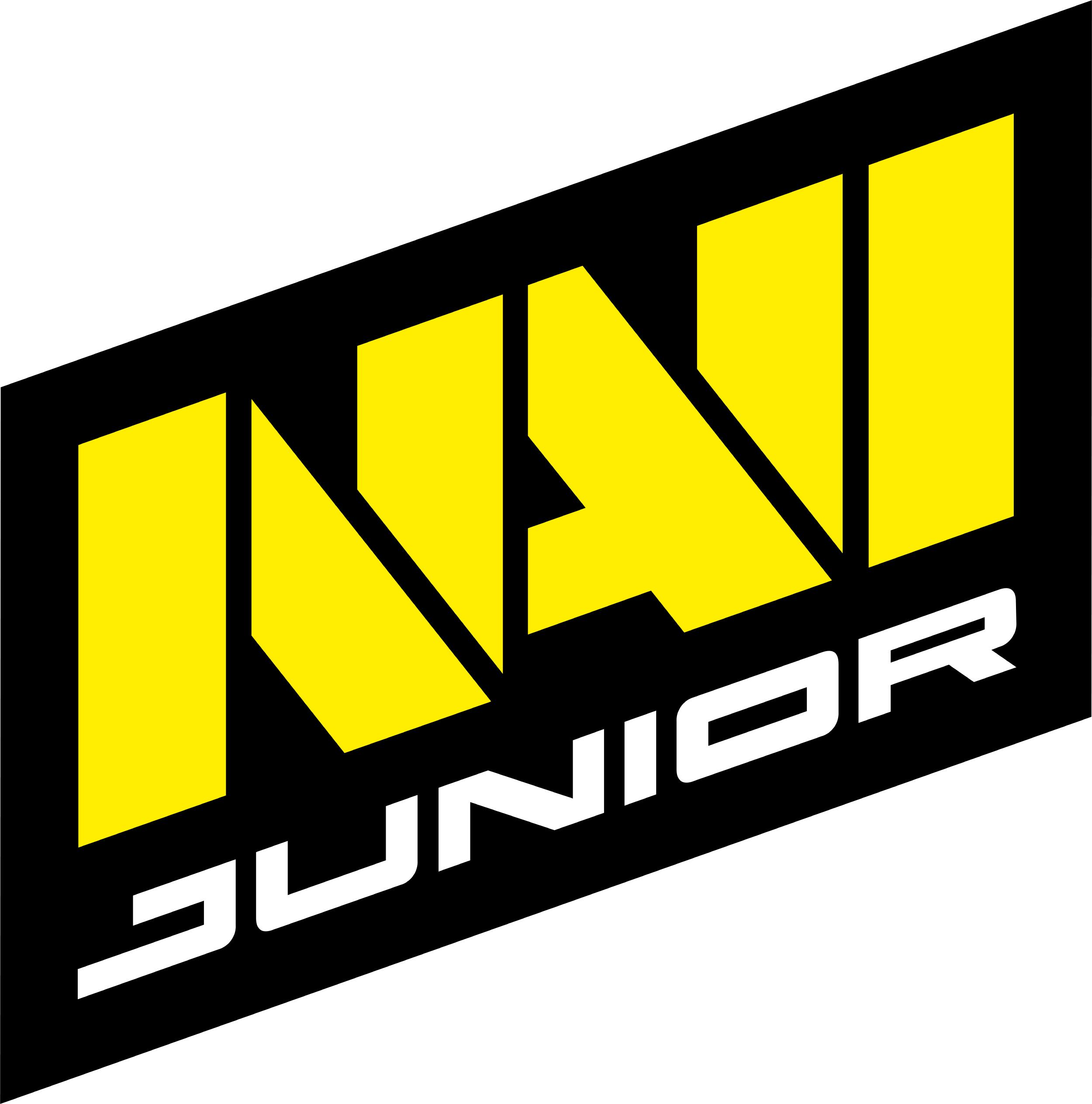 Natus Vincere Junior team logo