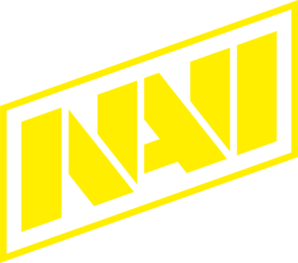 NaVi team logo