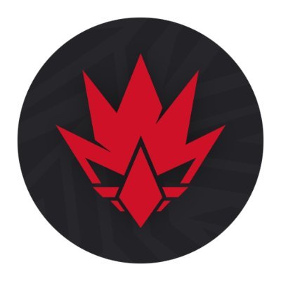 Heet Gaming team logo