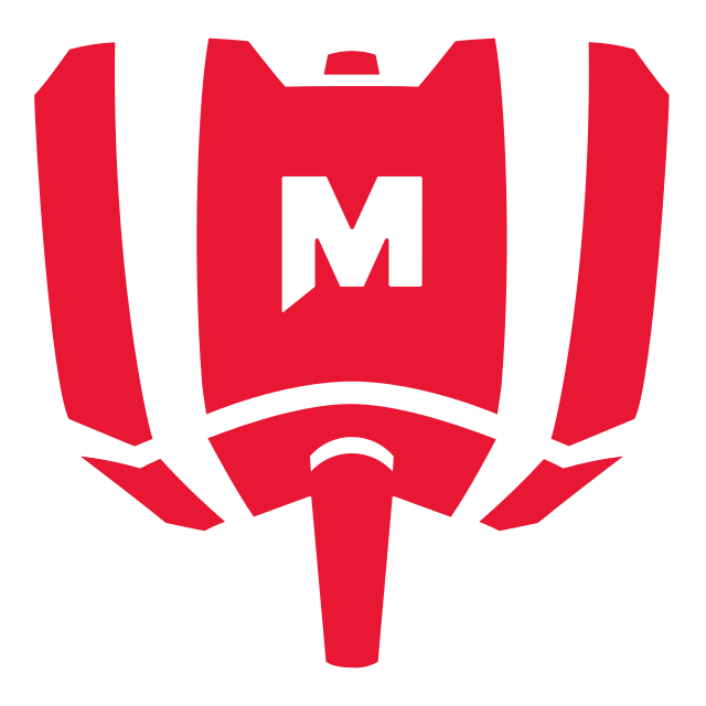 Mandatory team logo