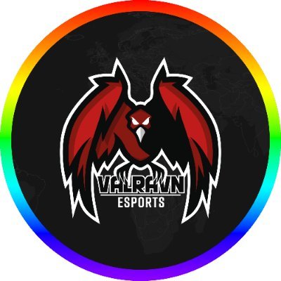 Valravn eSports Youngster Team team logo