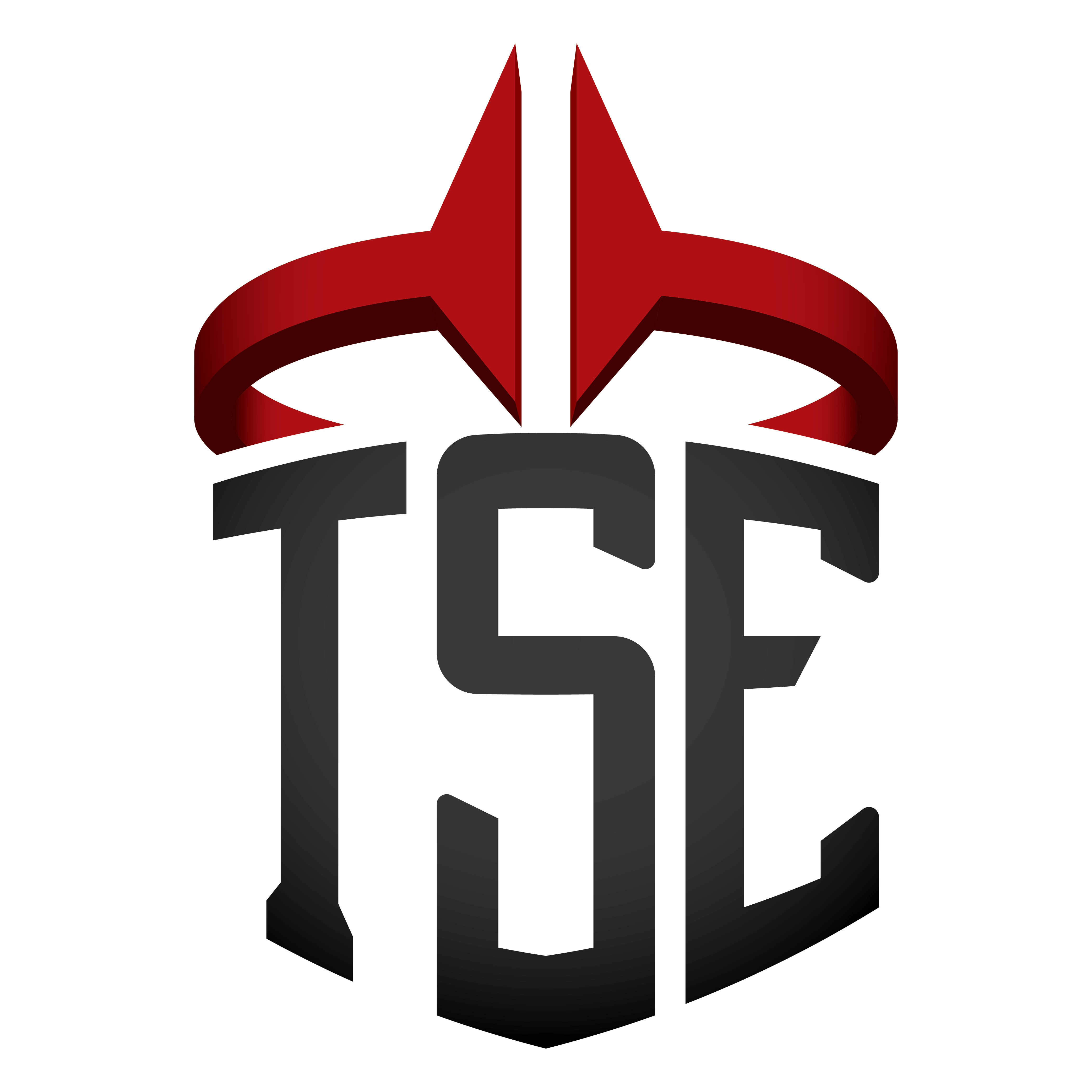 TSE Esports team logo