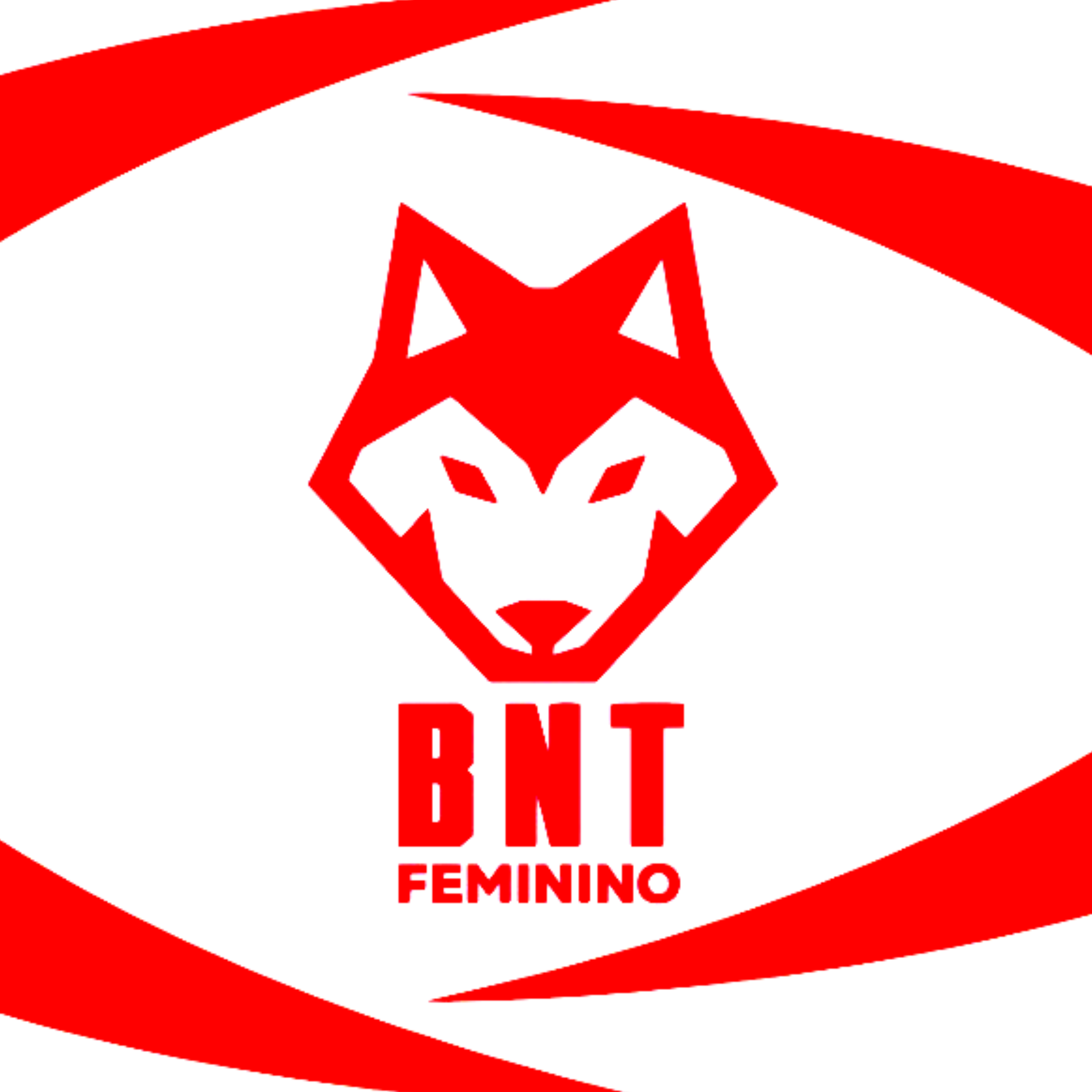 BNT team logo
