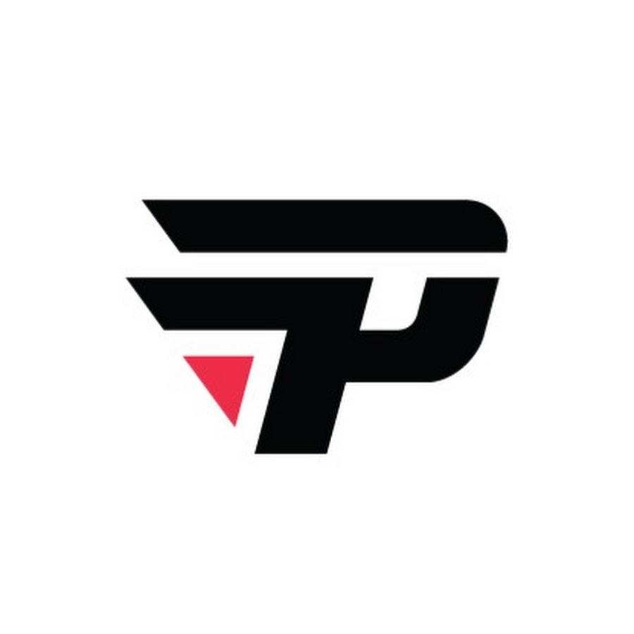 paiN Academy team logo