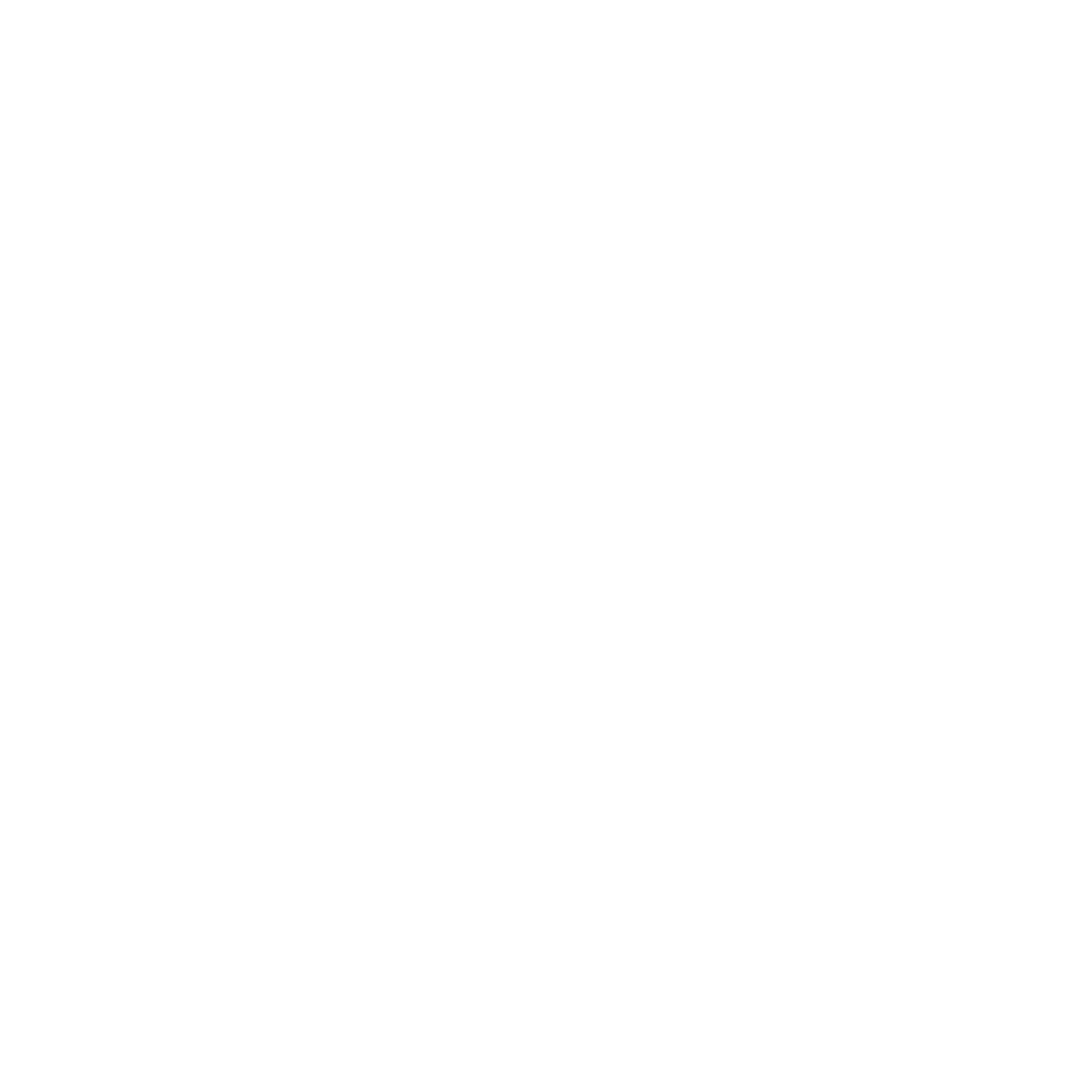 Team Heretics team logo