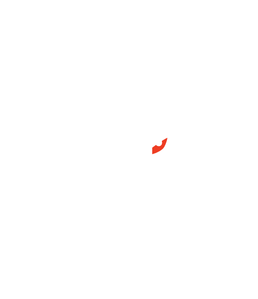 G2 Esports's logo