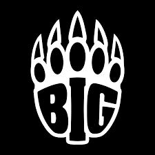 BIG  team logo