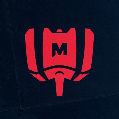 MANDATORY team logo