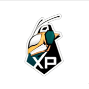 xPerience's logo