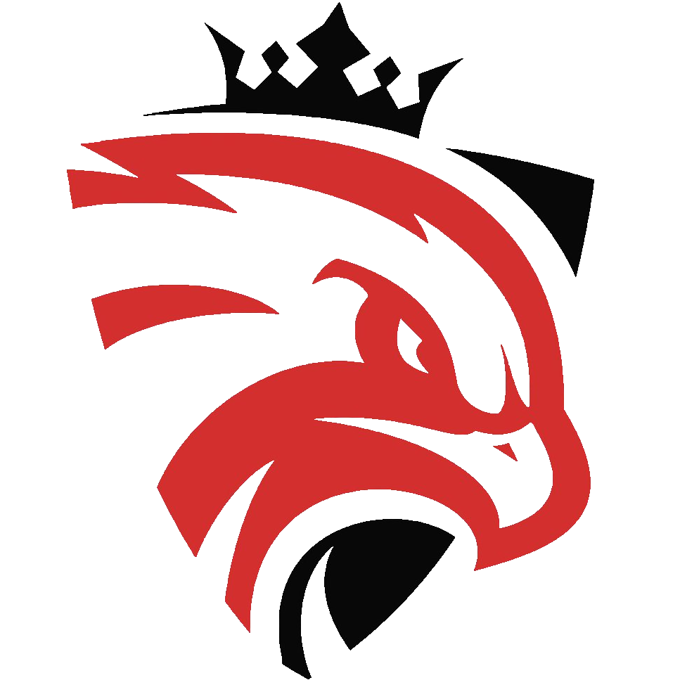 Austrian Force Esports team logo