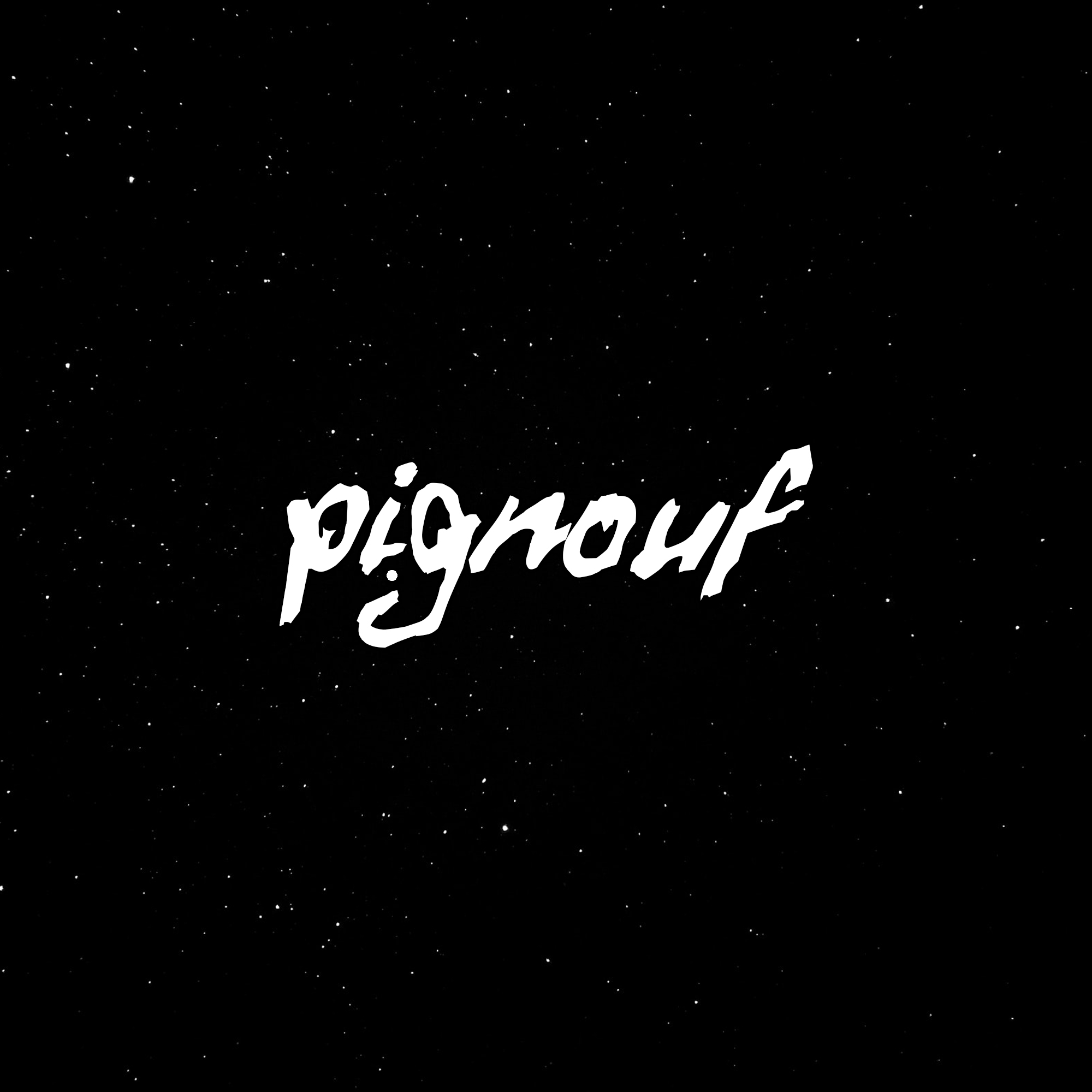 Pignouf team logo