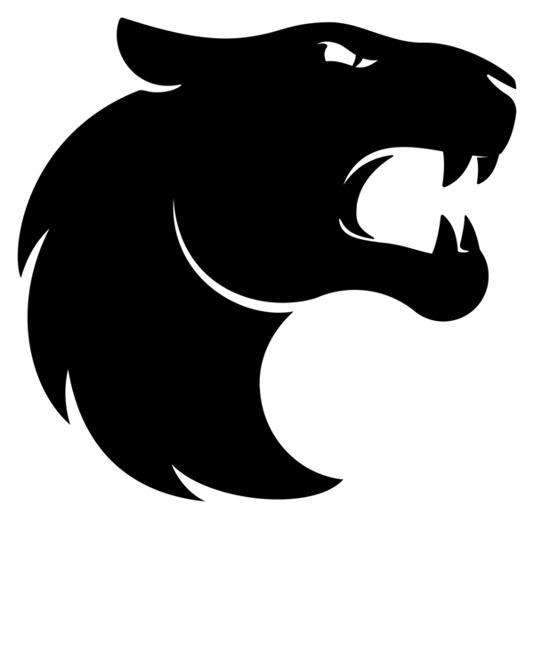 Furia team logo