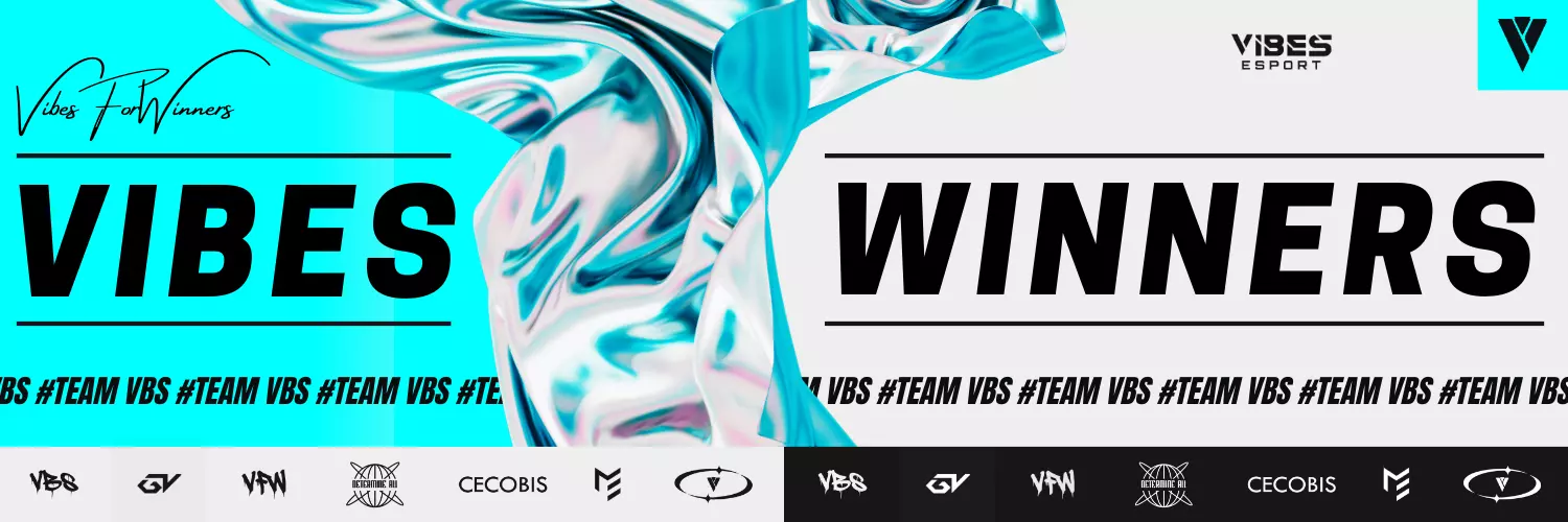 VIBES Esport's cover