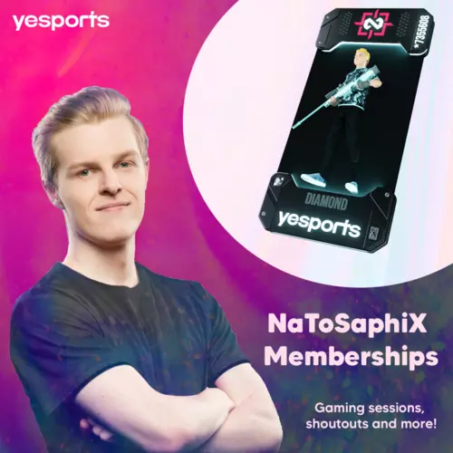 Partner image for https://yesports.gg/teams/natosaphix