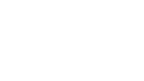 Partner image for https://theinfinitereality.com/