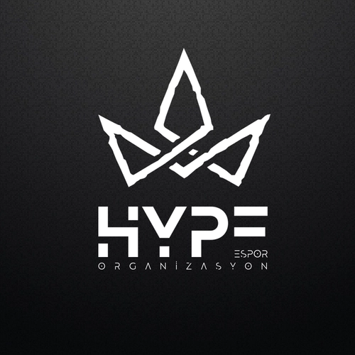 HYPE ESPORTS SERVICES link image