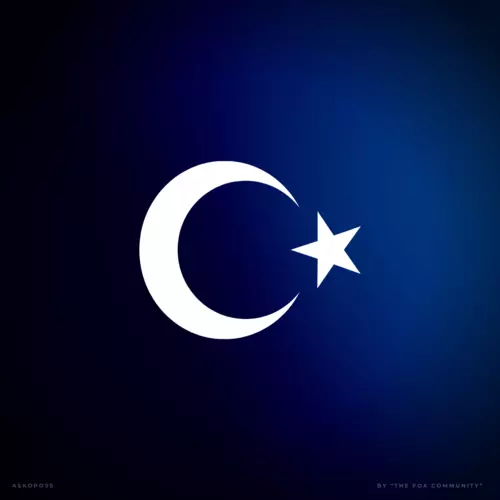 FOX - Watchtower of Turkey link image