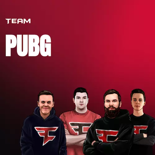 Team PUBG link image