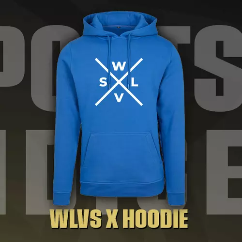WLVS X Hoodie link image